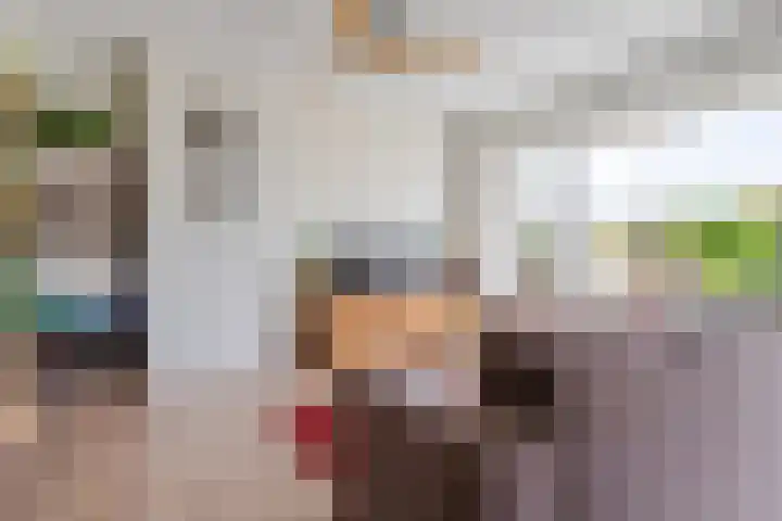 Dickenslaan 52 2 Utrecht thumbnail 11