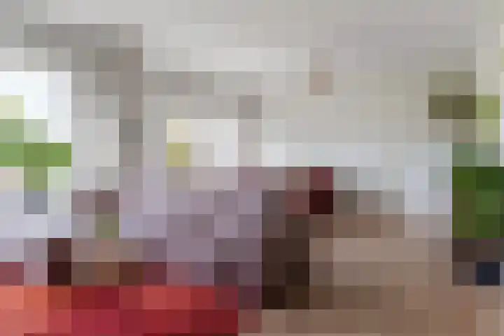 Dickenslaan 52 2 Utrecht thumbnail 12
