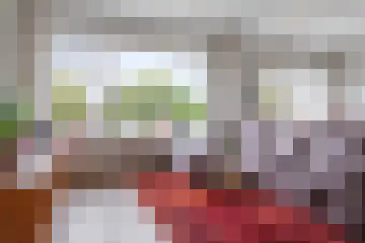 Dickenslaan 52 2 Utrecht thumbnail 13