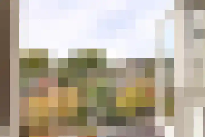 Dickenslaan 52 2 Utrecht thumbnail 17