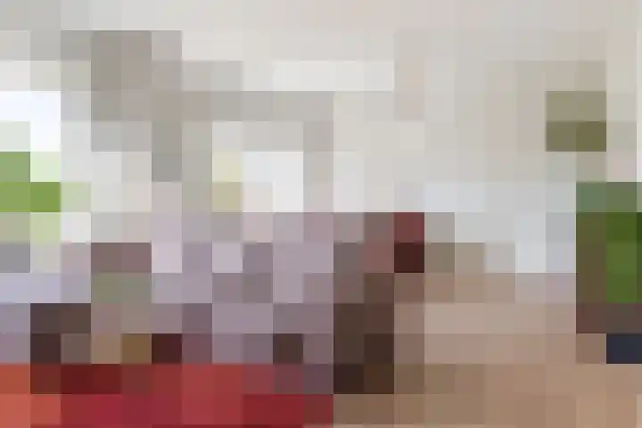 Dickenslaan 52 2 Utrecht foto 2