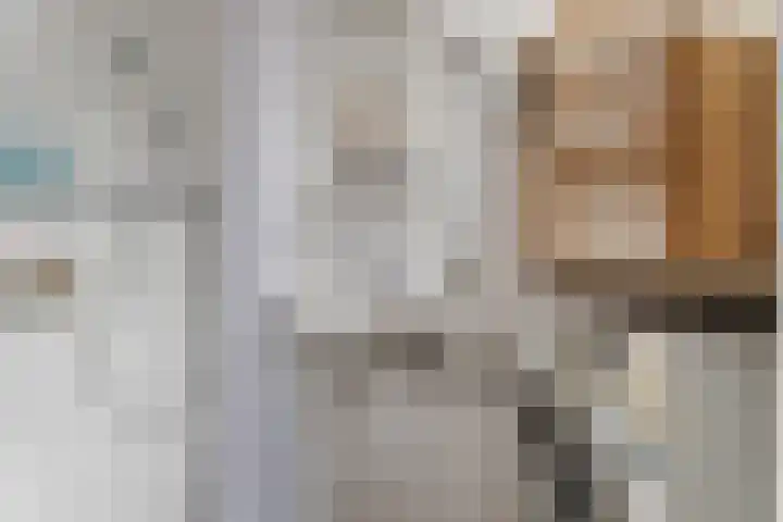 Dickenslaan 52 2 Utrecht thumbnail 21