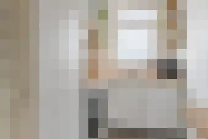 Dickenslaan 52 2 Utrecht thumbnail 24