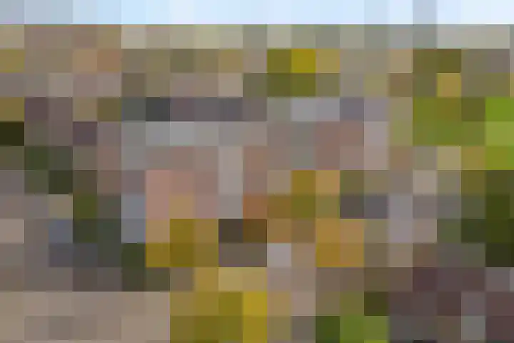 Dickenslaan 52 2 Utrecht thumbnail 26