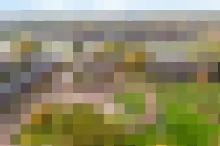 Dickenslaan 52 2 Utrecht thumbnail 27
