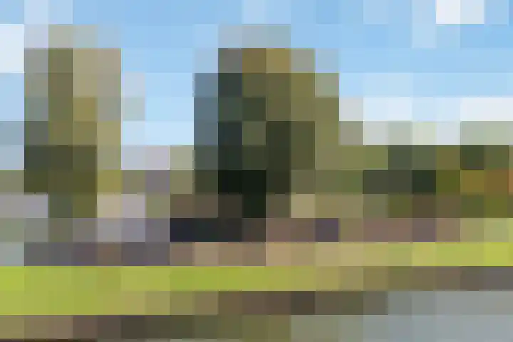 Dickenslaan 52 2 Utrecht thumbnail 28