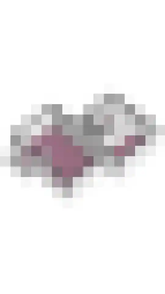 Dickenslaan 52 2 Utrecht thumbnail 30