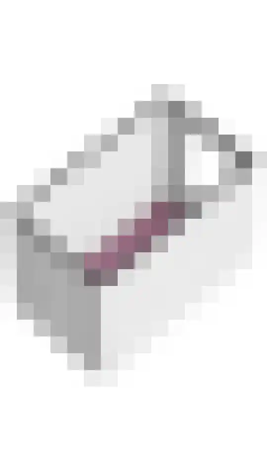 Dickenslaan 52 2 Utrecht thumbnail 32