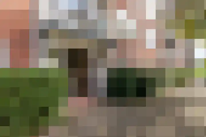 Dickenslaan 52 2 Utrecht thumbnail 6