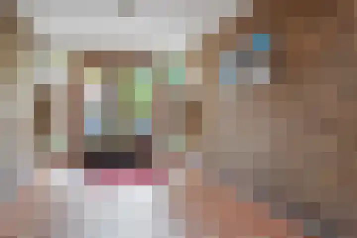 Dickenslaan 52 2 Utrecht thumbnail 8