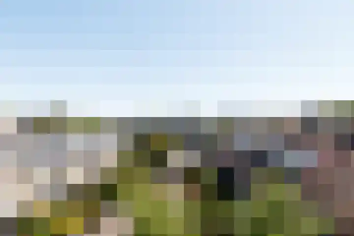 Dickenslaan 56 2 Utrecht thumbnail 20