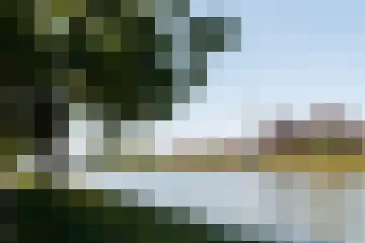 Dickenslaan 56 2 Utrecht thumbnail 21
