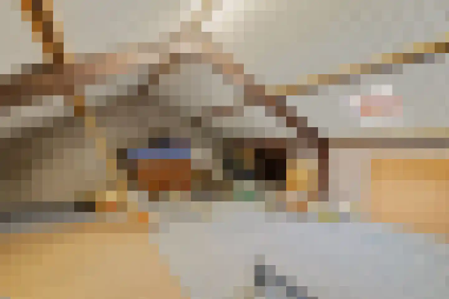 Dickenslaan 68 Venlo thumbnail 17