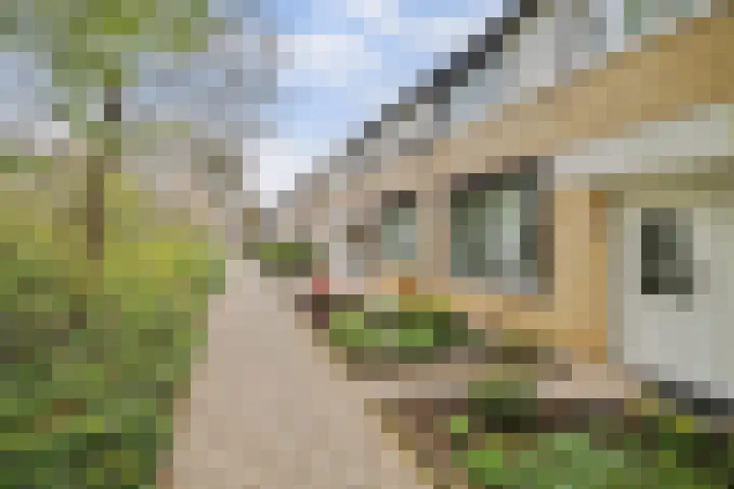 Dickenslaan 68 Venlo thumbnail 21