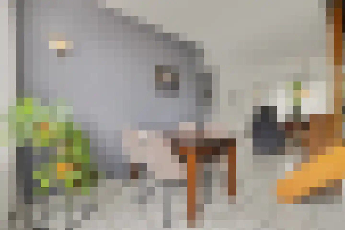 Dickenslaan 68 Venlo thumbnail 5