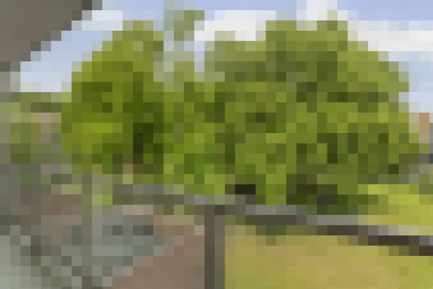Dickenslaan 73 Amsterdam thumbnail 15
