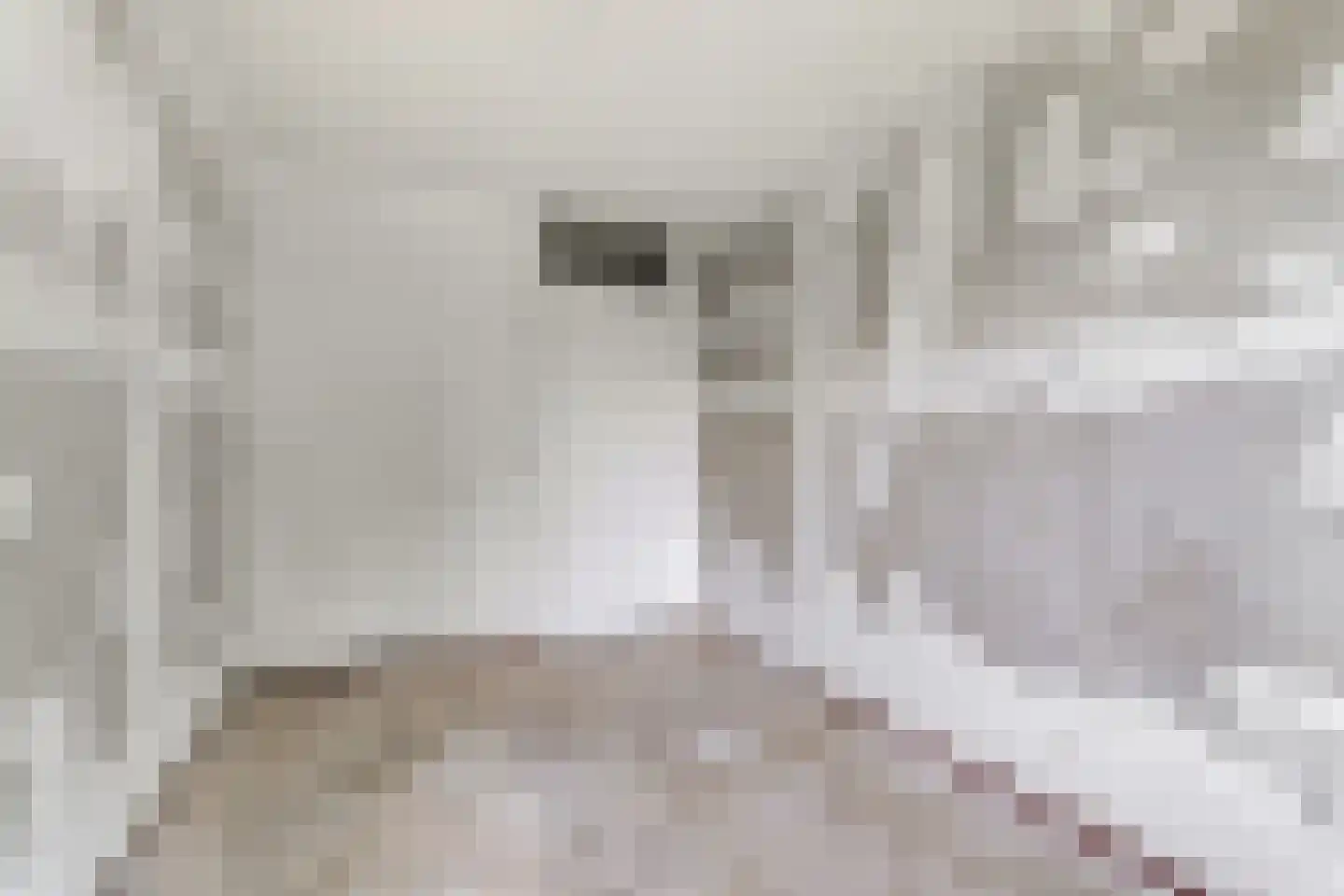 Dickenslaan 73 Amsterdam thumbnail 17