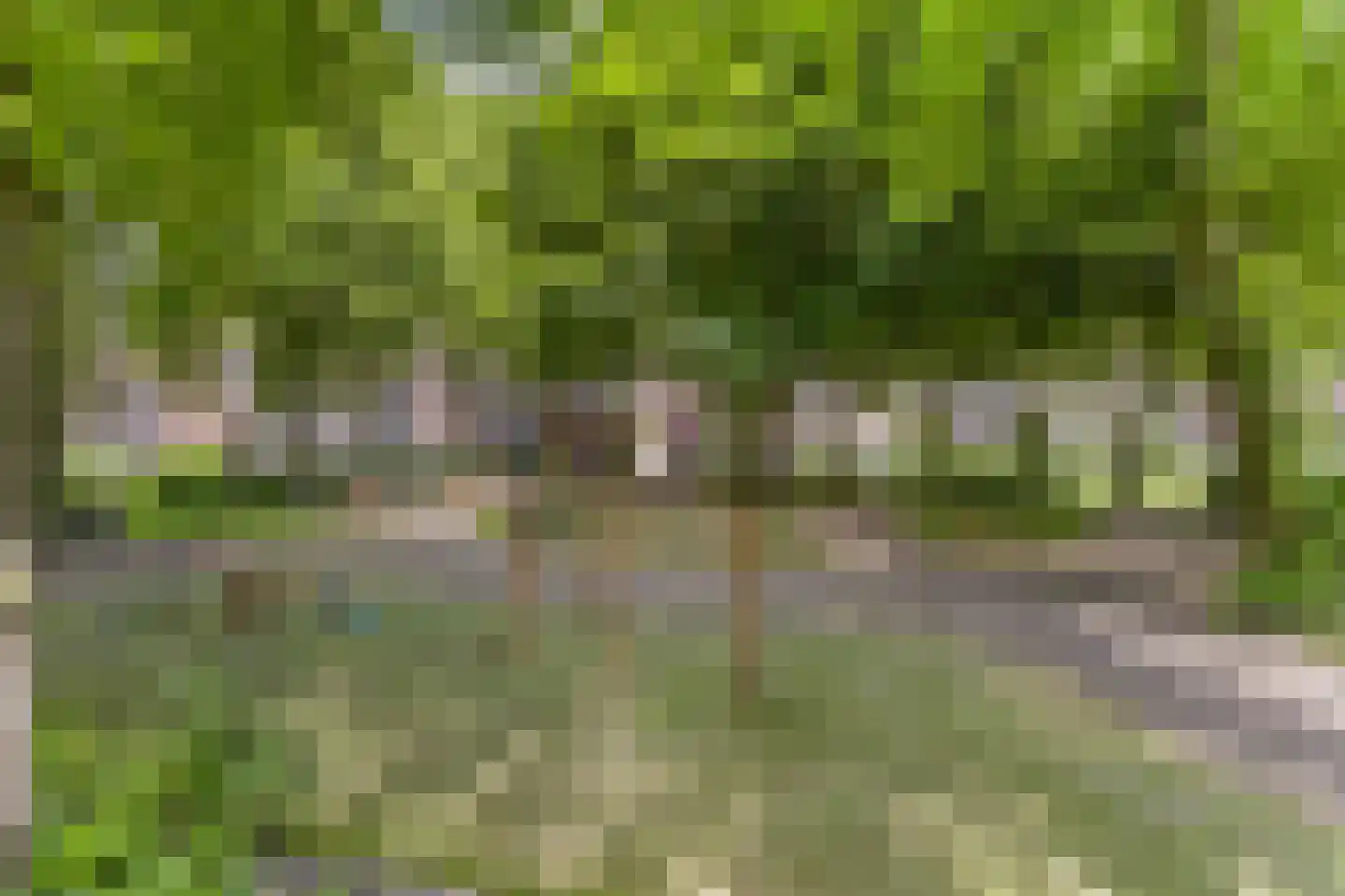 Dickenslaan 73 Amsterdam thumbnail 22