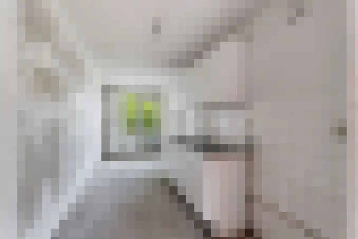 Dickenslaan 73 Amsterdam thumbnail 4