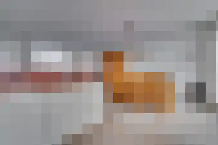Dickenslaan 79 Venlo thumbnail 13