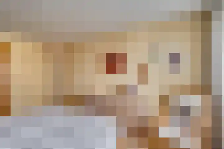 Dickenslaan 79 Venlo thumbnail 18