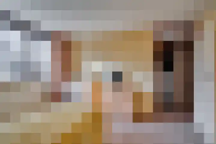 Dickenslaan 79 Venlo thumbnail 20