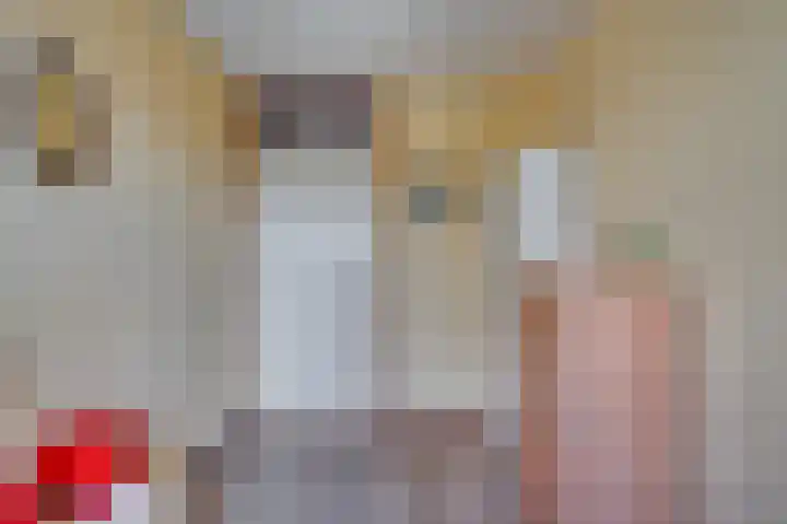 Dickenslaan 79 Venlo thumbnail 23