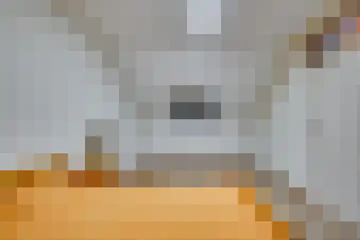 Dickenslaan 79 Venlo thumbnail 29