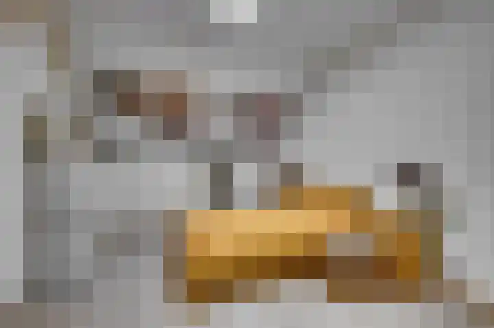 Dickenslaan 79 Venlo thumbnail 30