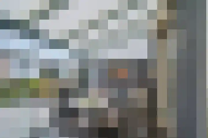 Dickenslaan 79 Venlo thumbnail 34