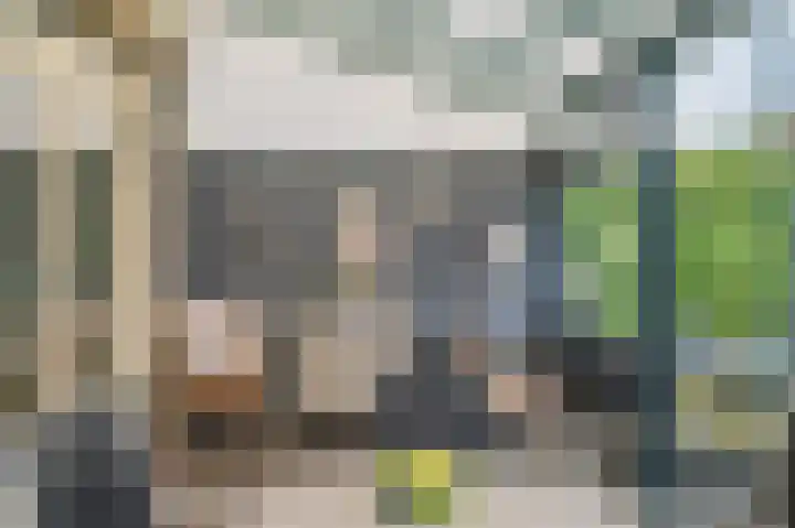 Dickenslaan 79 Venlo thumbnail 36