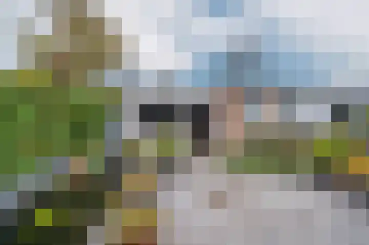Dickenslaan 79 Venlo thumbnail 37