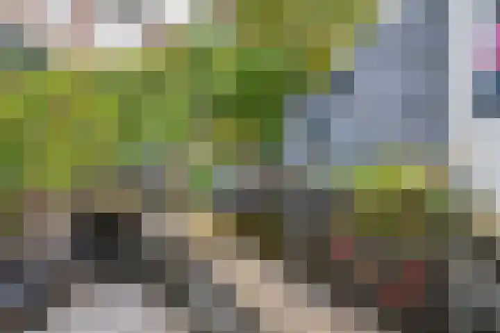 Dickenslaan 79 Venlo thumbnail 38