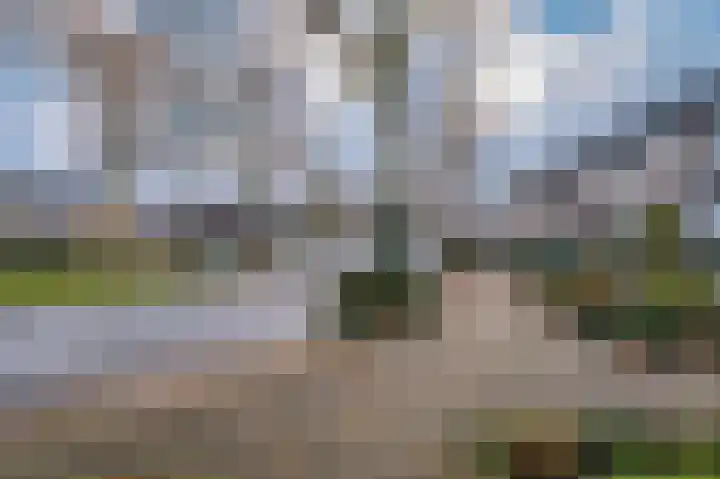 Dickenslaan 79 Venlo thumbnail 47