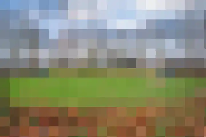 Dickenslaan 79 Venlo thumbnail 48