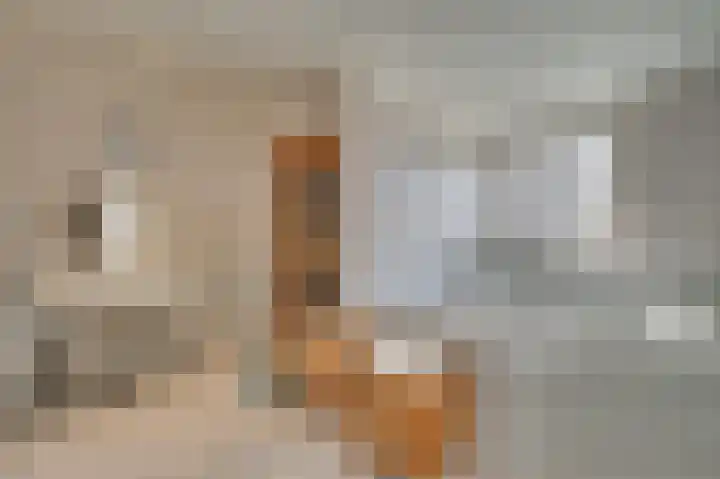 Dickenslaan 81 Venlo thumbnail 18