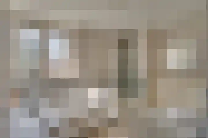 Dickenslaan 81 Venlo thumbnail 20
