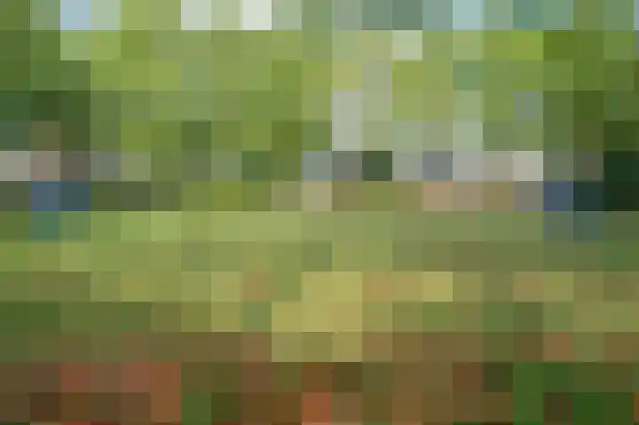 Dickenslaan 81 Venlo thumbnail 42
