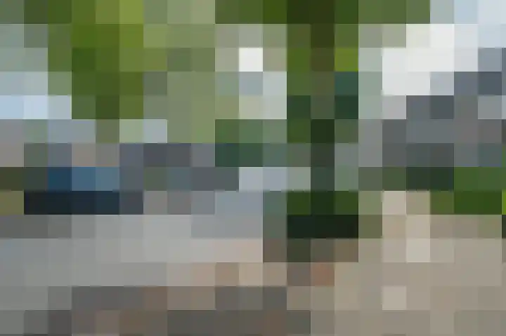 Dickenslaan 81 Venlo thumbnail 43