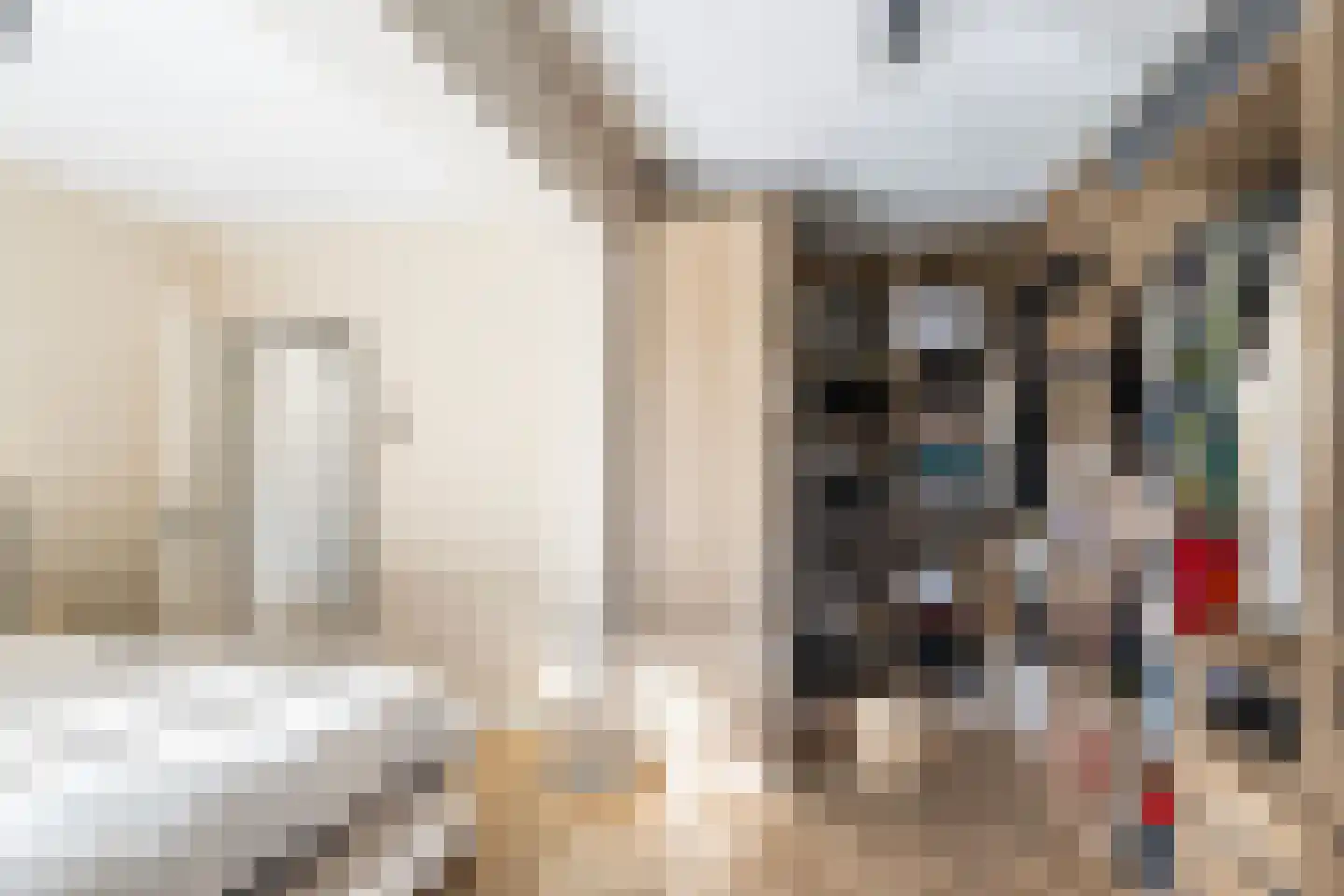 Dickensstraat 25 Rotterdam thumbnail 30