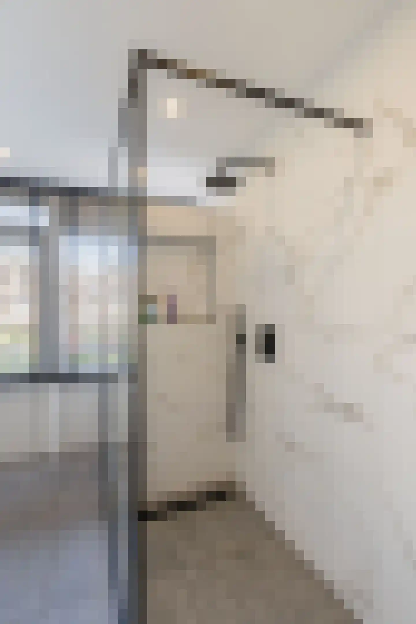 Dickensstraat 25 Rotterdam thumbnail 31