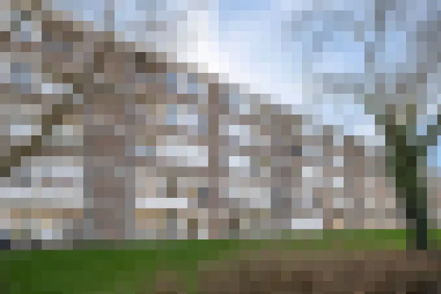 Dickensstraat 25 Rotterdam thumbnail 4
