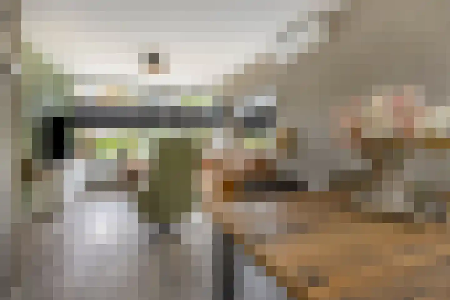 Dickensstraat 32 Rotterdam thumbnail 15
