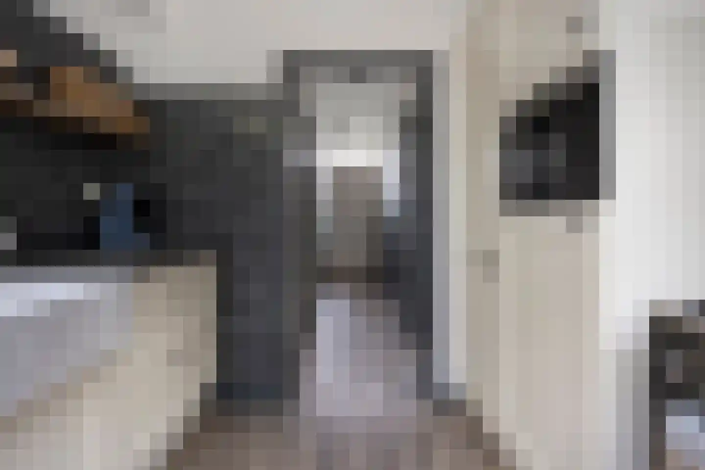 Dickensstraat 32 Rotterdam thumbnail 16