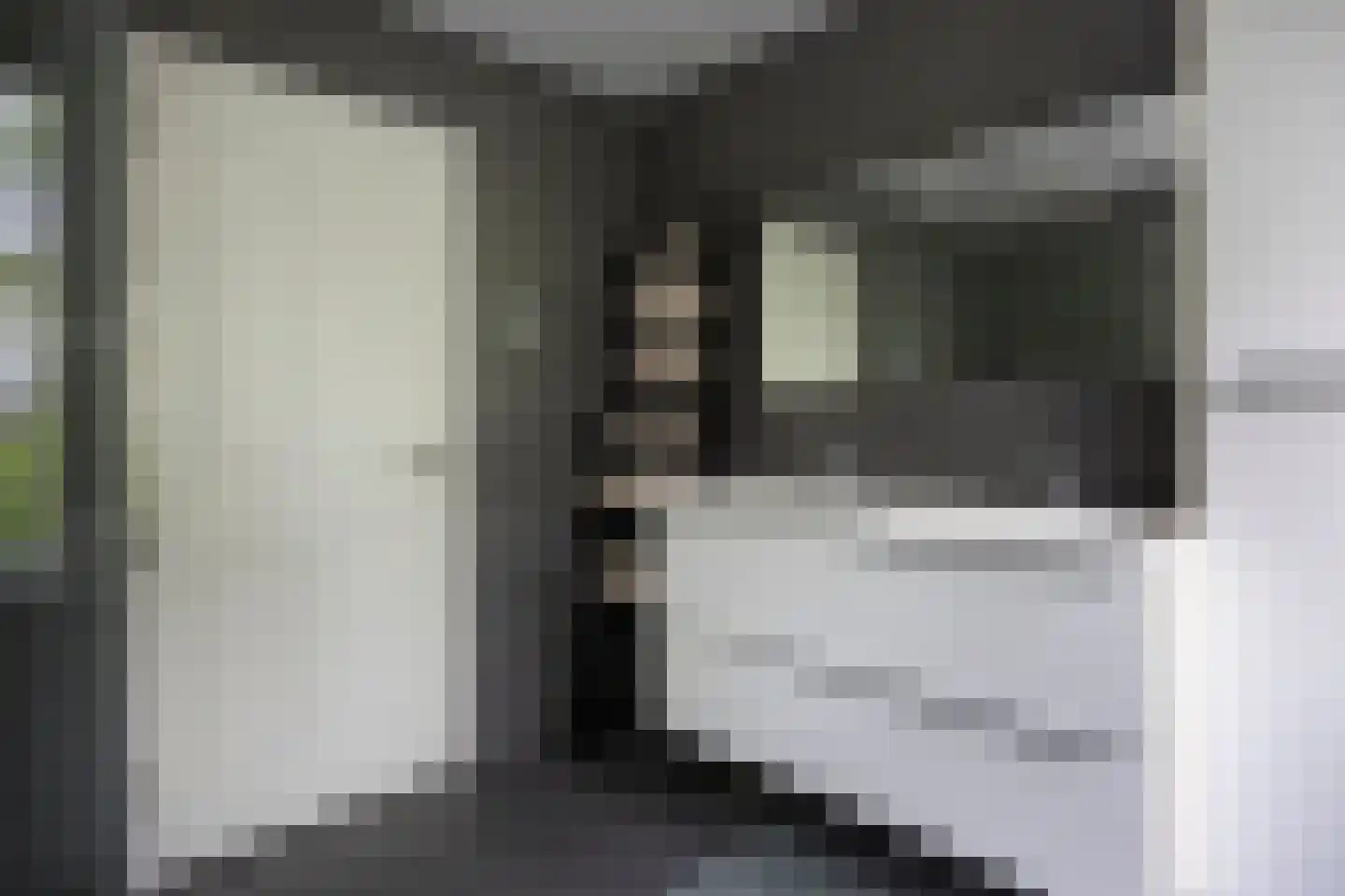 Dickensstraat 32 Rotterdam thumbnail 21