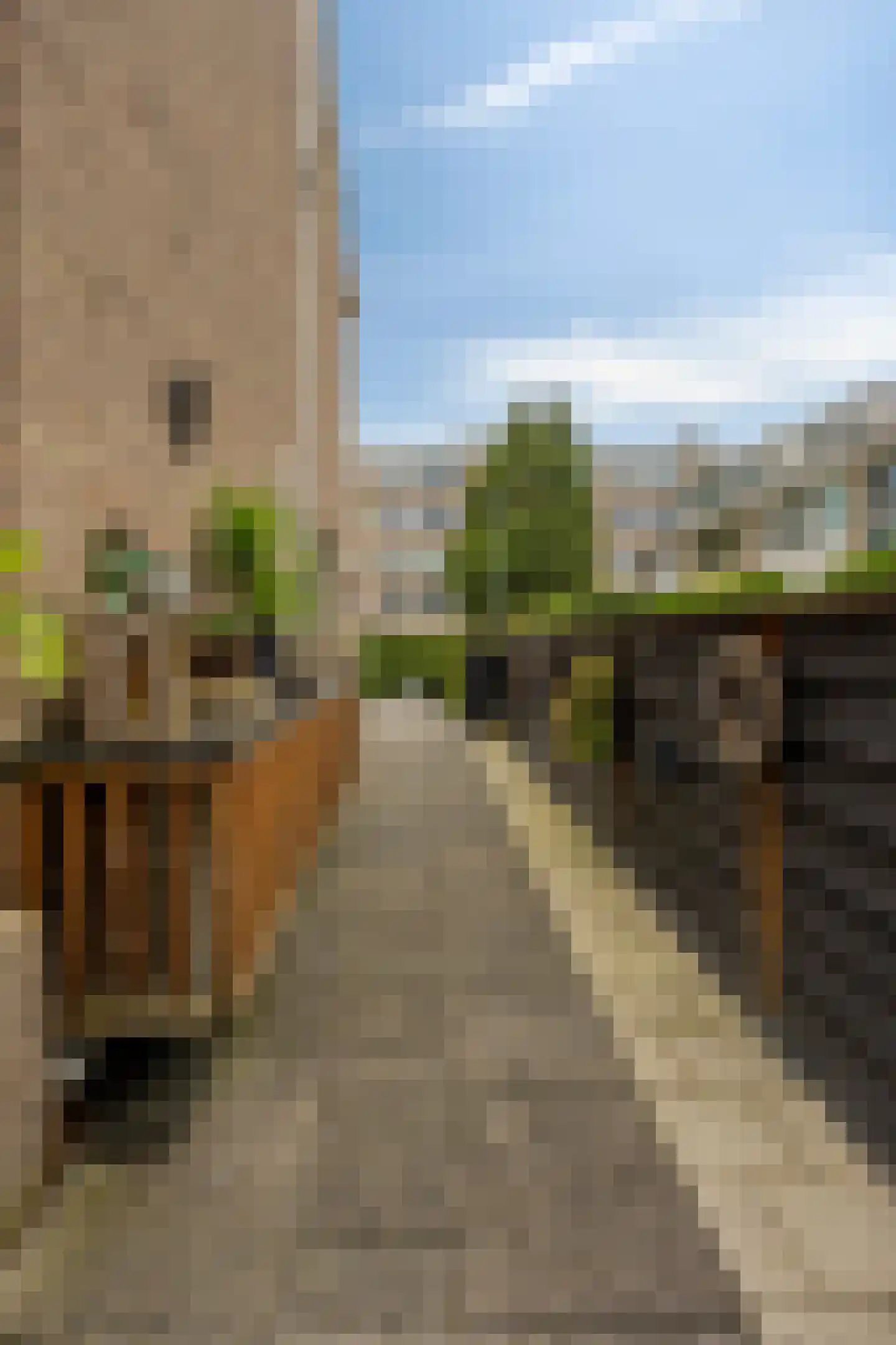 Dickensstraat 32 Rotterdam thumbnail 28