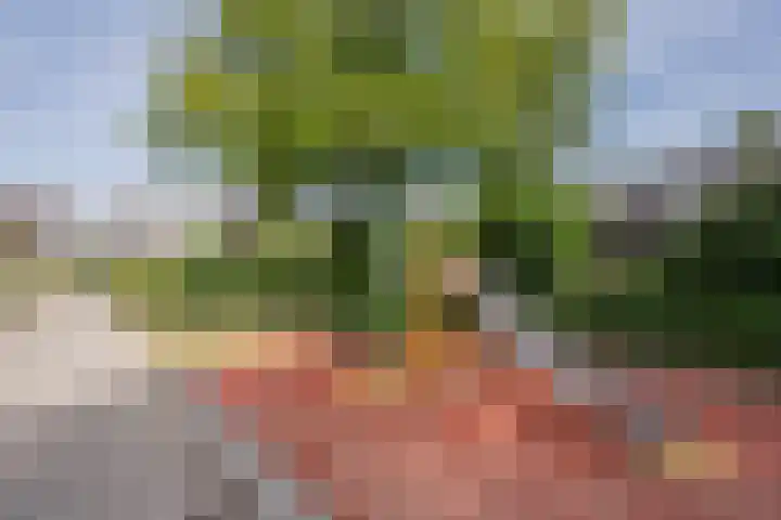 Dickerijst 4 Renswoude