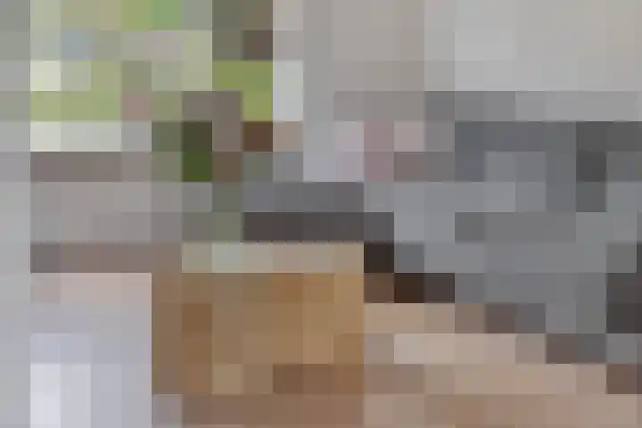 Dickerijst 4 Renswoude thumbnail 10