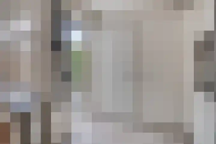 Dickerijst 4 Renswoude thumbnail 15