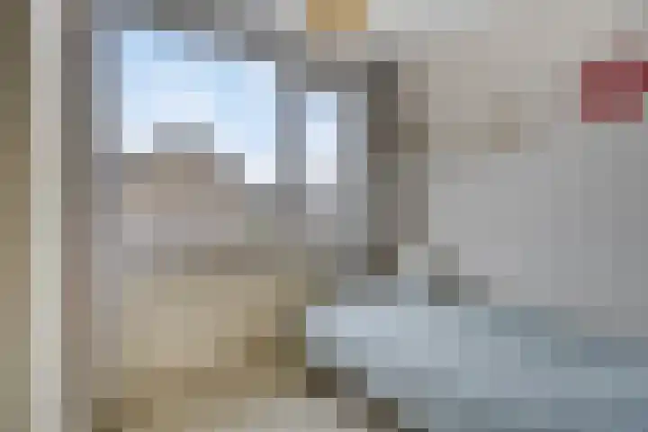 Dickerijst 4 Renswoude thumbnail 25